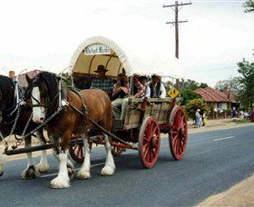 The Trek Wagon Walla Walla - Hervey Bay Accommodation 1