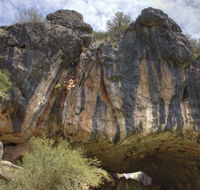 Borenore Karst Conservation Reserve - Hervey Bay Accommodation
