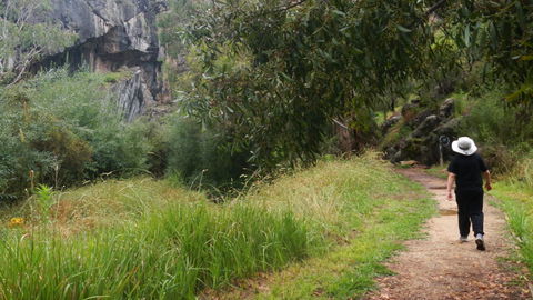 Borenore Karst Conservation Reserve - Tourism Hervey Bay 3