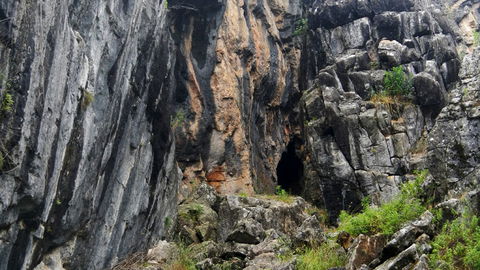Borenore Karst Conservation Reserve - Tourism Hervey Bay 2