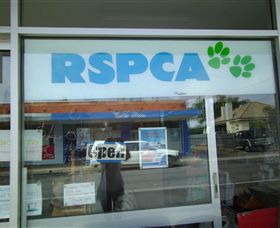 R.S.P.C.A Opportunity Shop - Hervey Bay Accommodation 0