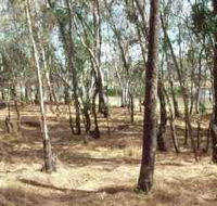 Chiltern-Mt Pilot National Park - Hervey Bay Accommodation