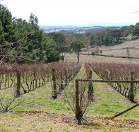 Habitat Vineyard - Hervey Bay Accommodation