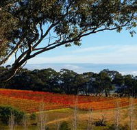 Bloodwood Estate - Hervey Bay Accommodation
