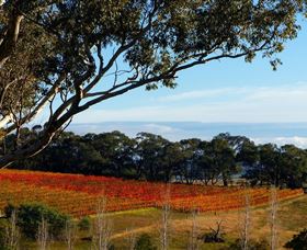 Bloodwood Estate - Hervey Bay Accommodation 0