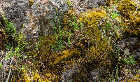 Hopetoun Falls Walking Track - Tourism Hervey Bay 2