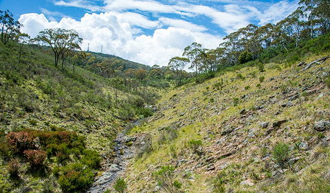 Hopetoun Falls Walking Track - Tourism Hervey Bay 3