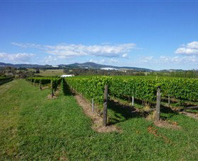 Hedberg Hill Wines - Hervey Bay Accommodation 0