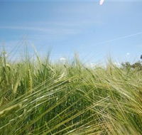 150 Degrees East Meridian - Hervey Bay Accommodation