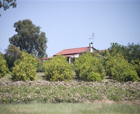 Samaria Farm - Hervey Bay Accommodation 0