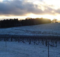 Charles Sturt University Winery - Hervey Bay Accommodation