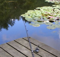 Ophir Reserve - Hervey Bay Accommodation