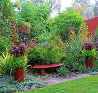Out of Town Nursery and Humming Garden - Hervey Bay Accommodation