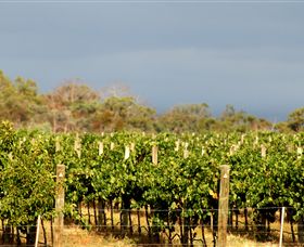 Amulet Vineyard And Beechworth Cider - Tourism Hervey Bay 7