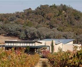 Amulet Vineyard And Beechworth Cider - Tourism Hervey Bay 8