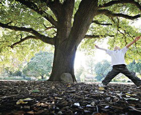 Albury Botanic Gardens - Tourism Hervey Bay 1