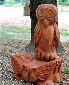 Albury Botanic Gardens - Tourism Hervey Bay 7