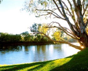 Albury - Murray River Precinct - Tourism Hervey Bay 0