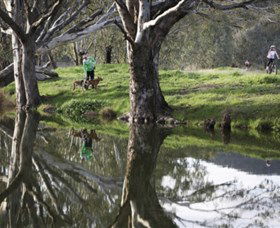 Albury - Murray River Precinct - Tourism Hervey Bay 3