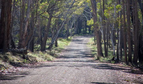Coolah Tops National Park - Hervey Bay Accommodation 1