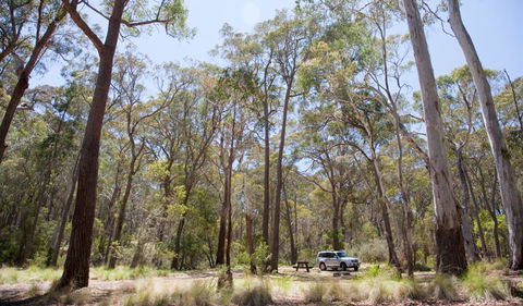 Coolah Tops National Park - Hervey Bay Accommodation 0