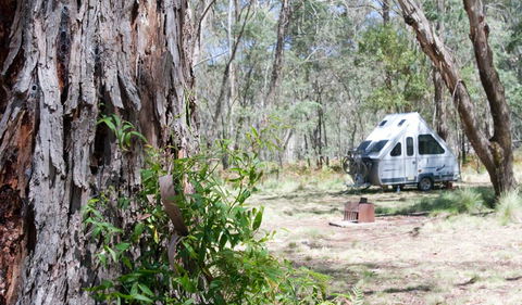 Coolah Tops National Park - Hervey Bay Accommodation 2
