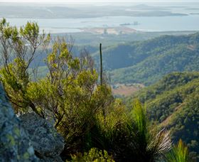 Mount Larcom Climb - Hervey Bay Accommodation 1