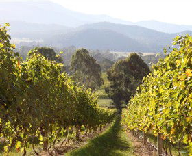 Pizzini Wines King Valley - Hervey Bay Accommodation 3