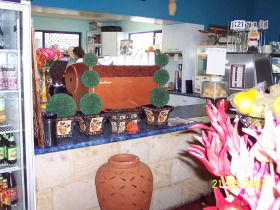 Warwicks Gardens Galore - Tourism Hervey Bay 2