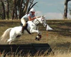 National Equestrian Centre - Kerrabee - Hervey Bay Accommodation 0