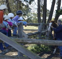 Harlow Park Horse Riding - Hervey Bay Accommodation
