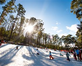 Corin Forest Mountain Resort - Tourism Hervey Bay 1