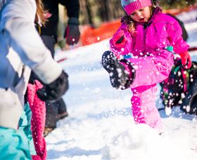 Corin Forest Mountain Resort - Tourism Hervey Bay 3