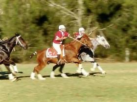 Morgan Park, Warwick - Tourism Hervey Bay 0