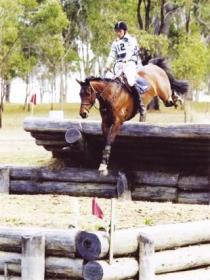 Morgan Park, Warwick - Tourism Hervey Bay 1