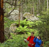 Centennial Glen - Tourism Hervey Bay