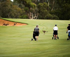 Federal Golf Club - Hervey Bay Accommodation 0