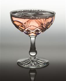 Polit Bar - More Than Cocktails - Tourism Hervey Bay 2