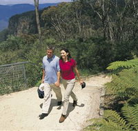 Blue Mountains Walking Tracks - Tourism Hervey Bay
