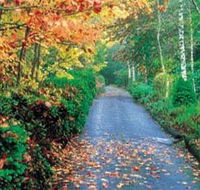 Mount Wilson and Mount Irvine - Hervey Bay Accommodation