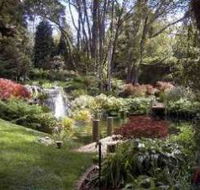 Windyridge Garden Mount Wilson - Hervey Bay Accommodation