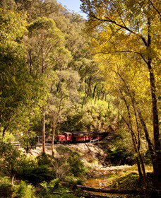 Walhalla Goldfields Railway - Tourism Hervey Bay 3