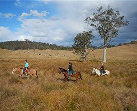 Chapman Valley Horse Riding - Tourism Hervey Bay 0