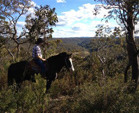 Chapman Valley Horse Riding - Tourism Hervey Bay 2