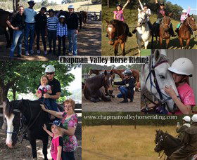 Chapman Valley Horse Riding - Tourism Hervey Bay 5