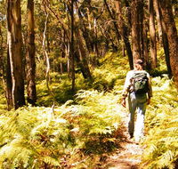 Federal Pass - Hervey Bay Accommodation
