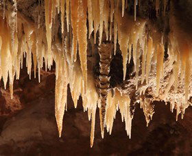 Wombeyan Caves - Hervey Bay Accommodation 1