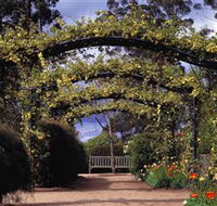 Blue Mountains Botanic Garden - Tourism Hervey Bay