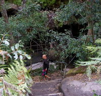 Leura Cascades Fern Bower - Hervey Bay Accommodation