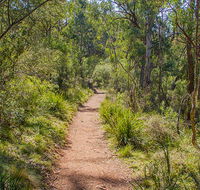 Mares Forest Creek walking track - Hervey Bay Accommodation